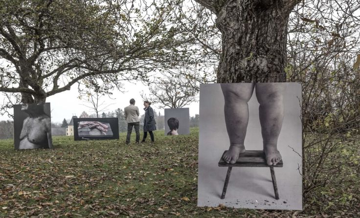 Der alte Obstgarten ist ein toller Rahmen für die Bilder von Horst Stasny.Foto: Stasny