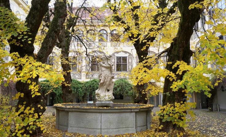 Gut beschützt im Bildungshaus Foto: Einsiedler