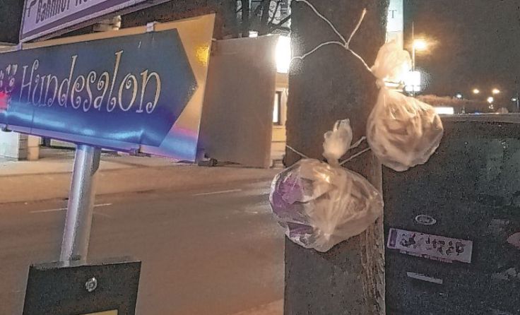 Auf den Säckchen sollte stehen, was drinnen ist und auch die Größe. Foto: Schwarzgruber