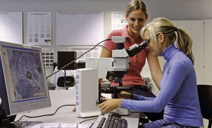 Die Master-Studierenden arbeiten zwei Tage pro Woche in Unternehmen. Foto: FH OÖ