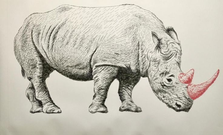 Mit tausenden Wörtern wie „Wilderei“ hat Polanski ein Nashorn gestempelt. Foto: Polanski