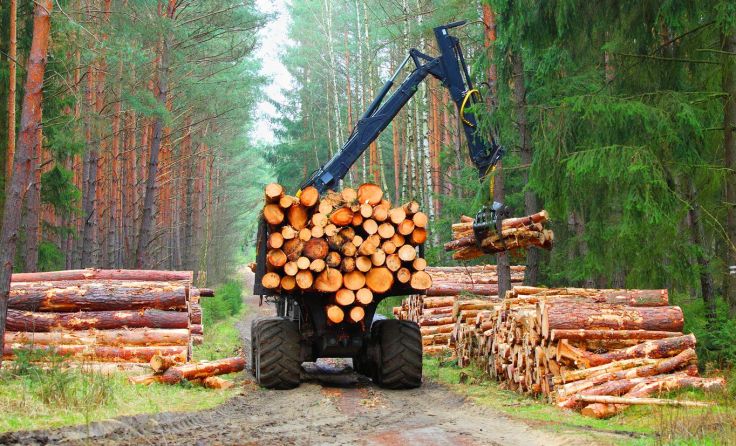Der Landwirt fiel bei Verladearbeiten vom Holzrückwagen. Symbolfoto: shutterstock/kletr