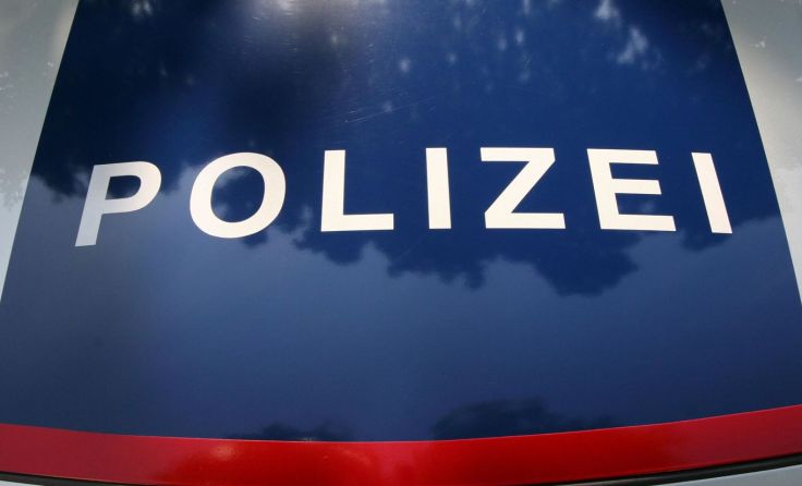 Die Polizei musste den Flüchtenden mit Körperkraft aus einem Gestrüpp holen. Foto: Wodicka