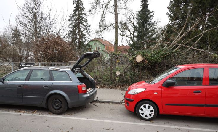 Verletzt wurde bei dem Vorfall niemand. Foto: laumat.at / Matthias Lauber 