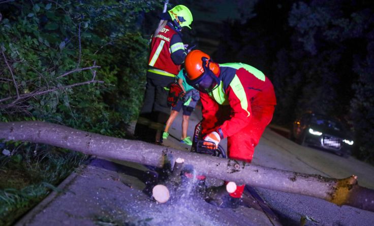 Die FF Marchtrenk musste einen Baum beseitigen. (Foto: laumat.at/Matthias Lauber)