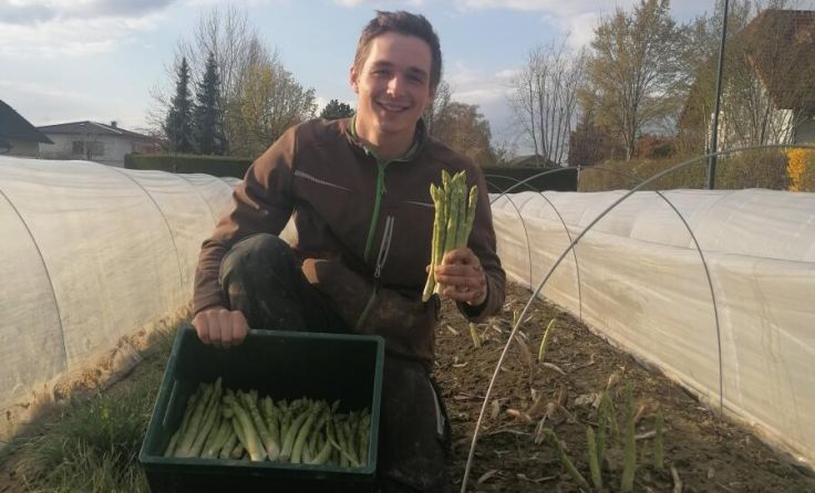 Mit Folientunnels trotzen Georg Holzinger und der Spargel der Kälte. (Foto: Holzinger)