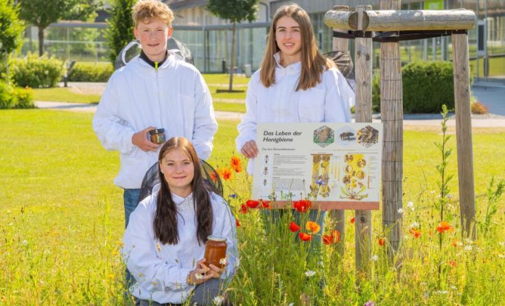 Ein neuer Bienen- und Imkerlehrpfad informiert neben den Schülern auch Spaziergänger. (Foto: Echt)