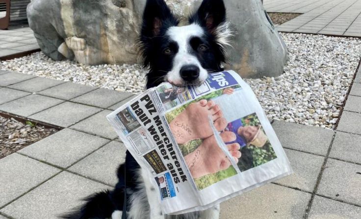 Amy hat "Tips" zum Fressen gern! (Foto: Rupp)