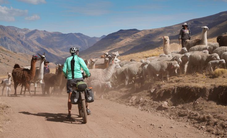 20.000 Kilometer absolvierten Anita Burgholzer und Andreas Hübl mit dem Rad. (Foto: nandita.at)