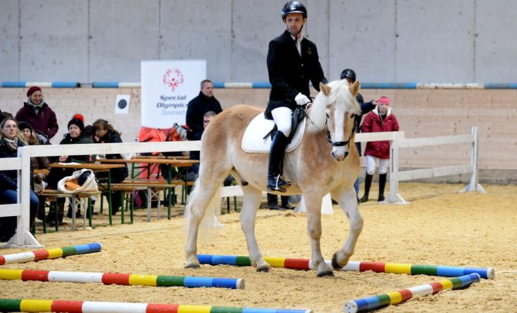 Fortgeschrittene Reiter meisterten den Parcours alleine. (Foto: Brunner)