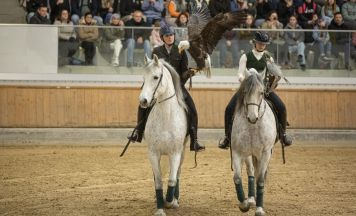 Es war einmal ... ein großartige Jubiläumsparade der Lambacher Pferdewirte