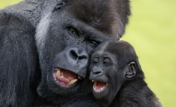Auch im Zoo Schmiding ist Vatertag