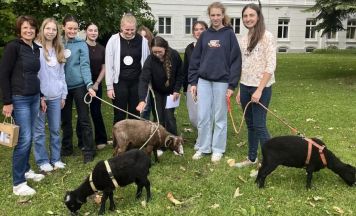 Schafe im Schlosspark der Fachschule Mistelbach