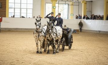Große Jubiläumsgala im Pferdezentrum Stadl-Paura