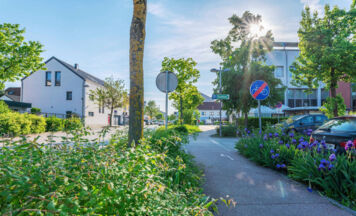 Marchtrenk setzt bei Straßenbau stärker auf Grünraum