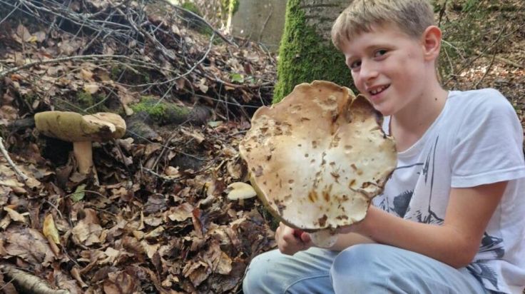 Matthias findet in Offenhausen riesige Steinpilze