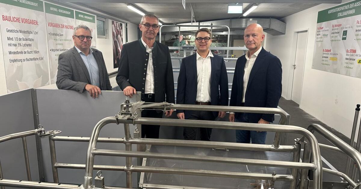 Pig farmers in Wels under pressure: Livelihoods threatened