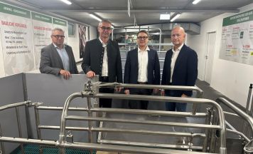 Schweinebauern in Wels unter Druck: Existenz gefährdet