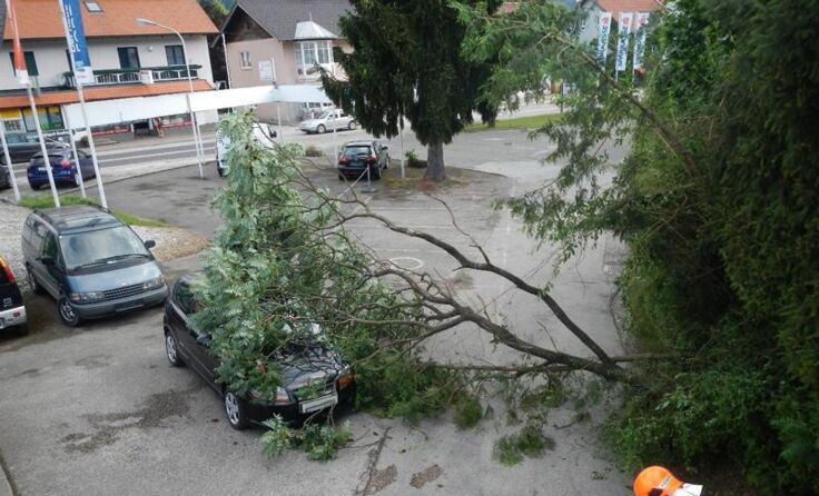 Der entwurzelte Baum begrub einen PKW unter sich. Foto: FF Scharnstein