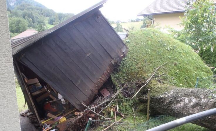 Spektakuläre Folgen des Sturms von Dienstagabend Foto: FF Bad Ischl