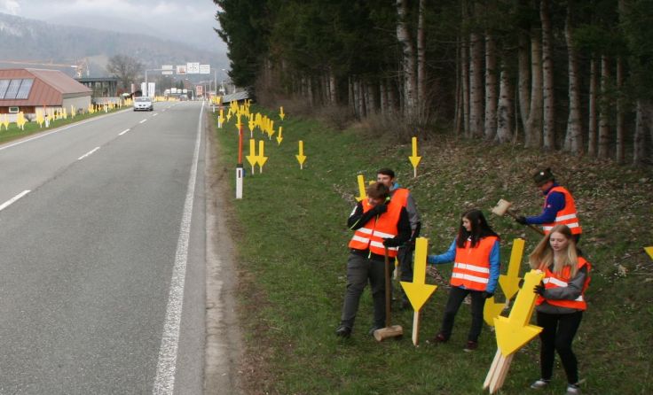 Poly-Schüler beim Aufstellen der Pfeile, die den Müll markieren Foto: Stadtgemeinde