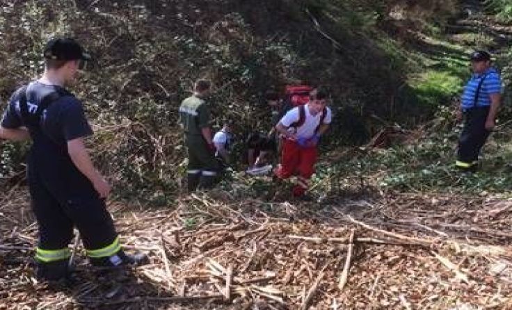 Die Vermissten-Sucher beim Einsatz Foto: FF Altmünster