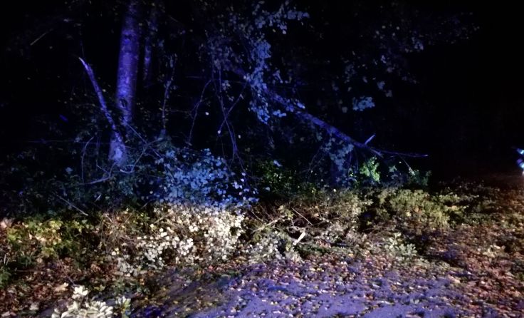 Abendlicher Einsatz für die Kameraden der FF Pfandl Foto: FF Pfandl