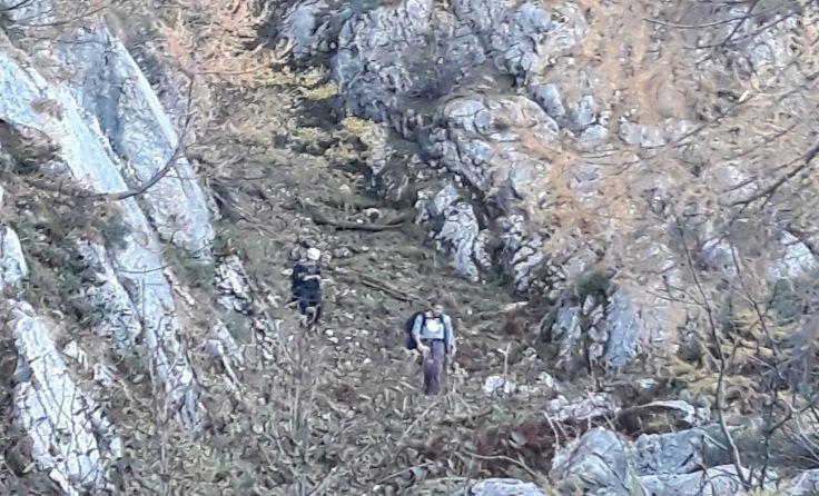 Am Weg wieder talwärts Foto: BRD Obertraun