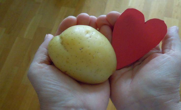 Foto: Alexander Wieser