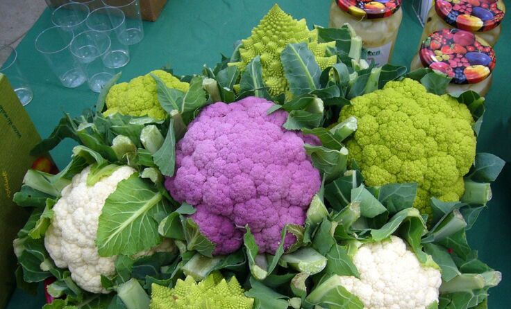 Farbiger Kohl = attraktiv + gesund!