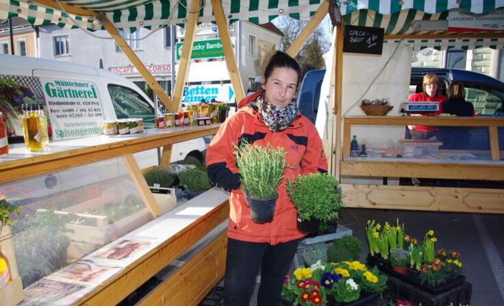 Pflanzerl, Kräuter, eingelegtes Gemüse, Pestos und Frühlingsblumen aus der Gärtnerei Mühlehner