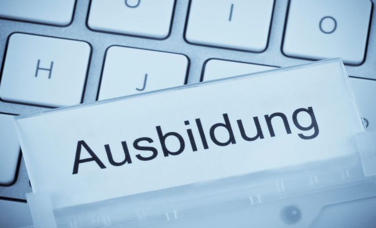 Potenzialanalyse: 30.000 Schüler in OÖ haben bereits teilgenommen.Foto: Wodicka