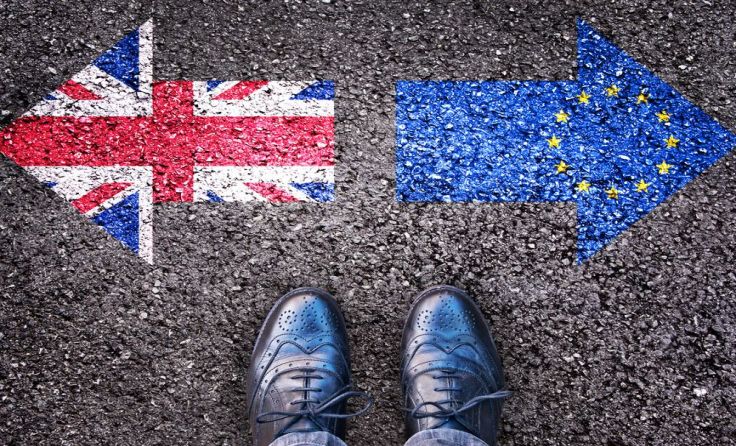 Foto: shutterstock.com/delpixel