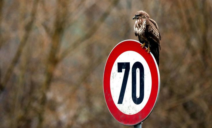 Von Gerersdorf bis zur Ortstafel Kematen wird ein „70er“ gefordert. (Foto: Volker Weihbold)