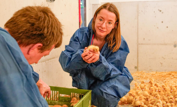 Johanna Kreuzer mit den kleinen Entenküken. (Foto: Biohof Kreuzer)