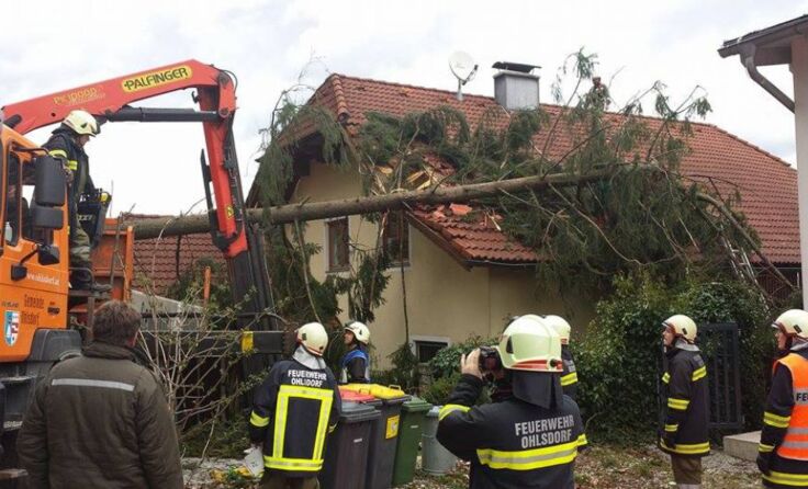 Der Sturm fällte einen Baum in Ehrendorf.*Foto: FF Ohlsdorf/Stefan Pamminger