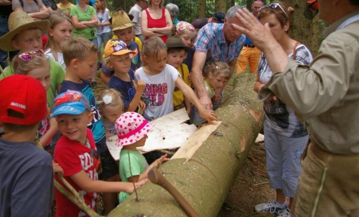 Was verbirgt sich unter der Rinde? Beim Waldtag konnte jeder selbst nachsehen. Foto: Steinegger