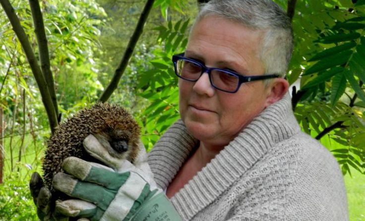 „Igelmutti“ Gabi Kaar mit einem ihrer Schützlinge Foto: Kaar