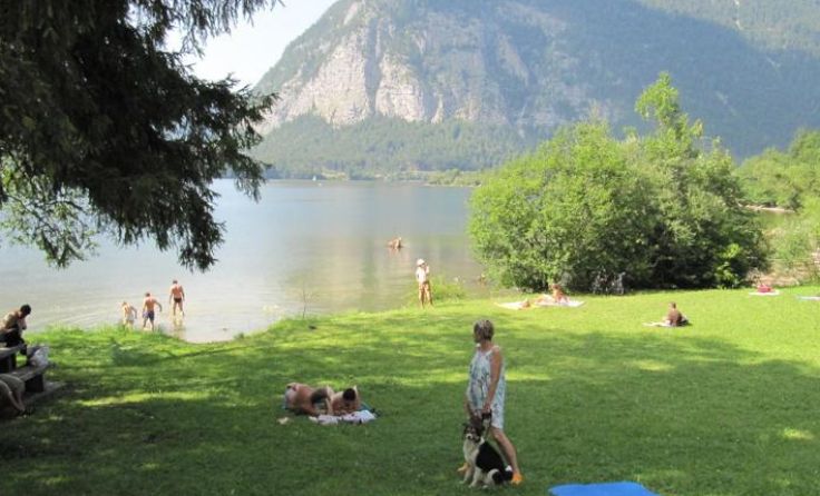 Badevergnügen für Zwei- und Vierbeiner Foto: Peter Perstl