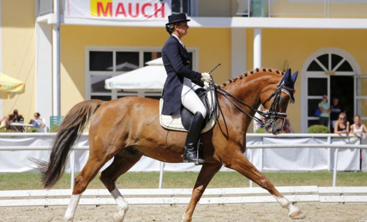Monika Auinger auf Dormiro