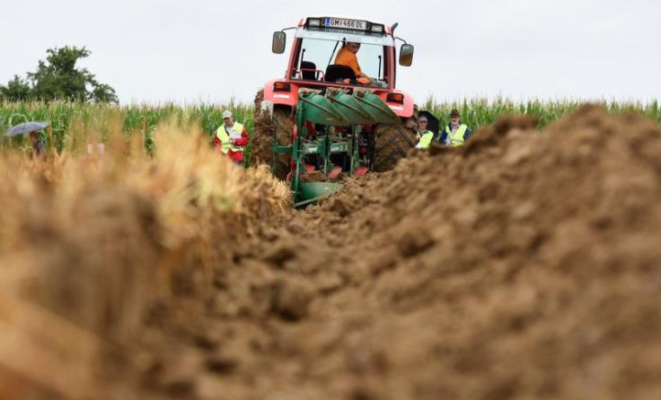 Beim Bewerbspflügen ist Maßarbeit gefragt. Foto: Wolfgang Spitzbart 