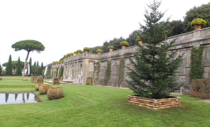 Bundesforste-Weihnachtsbaum ziert päpstliche Residenz in Castel Gandolfo Foto: Natalie Feistritzer
