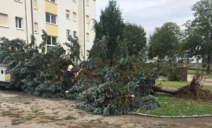 Foto: FF Vorchdorf