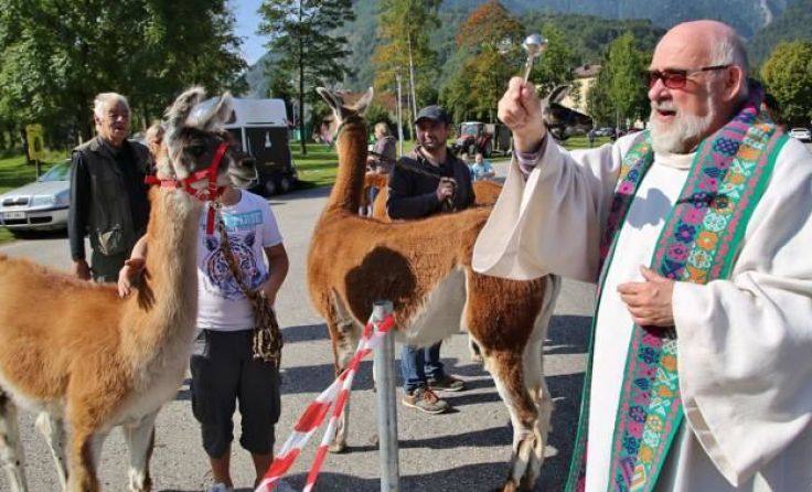 Dechant Alois Rockenschaub bei der Tiersegnung Foto: Hörmandinger