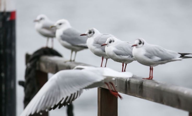 Symbolbild Foto: Weihbold