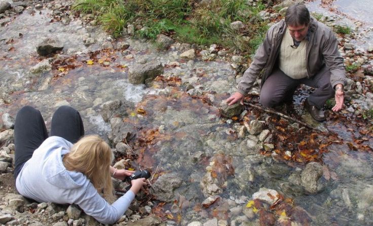 Voller Einsatz beim Suchen der besten Kameraposition Foto: HLW Wolfgangsee