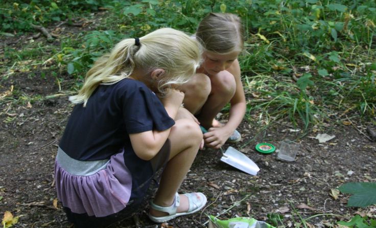 Kirchhamer Schüler beim Forschen