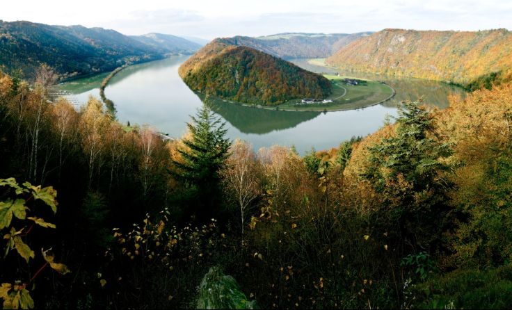 Schlögener Schlinge in herbstlicher Farbenpracht Foto: Donau OÖ/Weissenbrunner