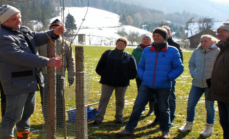 Obstbaumschnittkurs mit Heimo Strebl Foto: Verein Naturpark Attersee-Traunsee