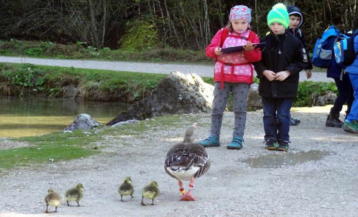 Auch Kinder können an dem Forschungsprojekt teilnehmen. Foto: Gudrun Gegendorfer